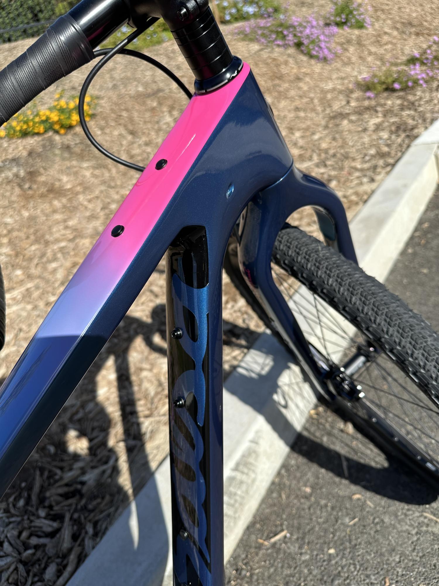 2023 Salsa Cutthroat Blue and Pink