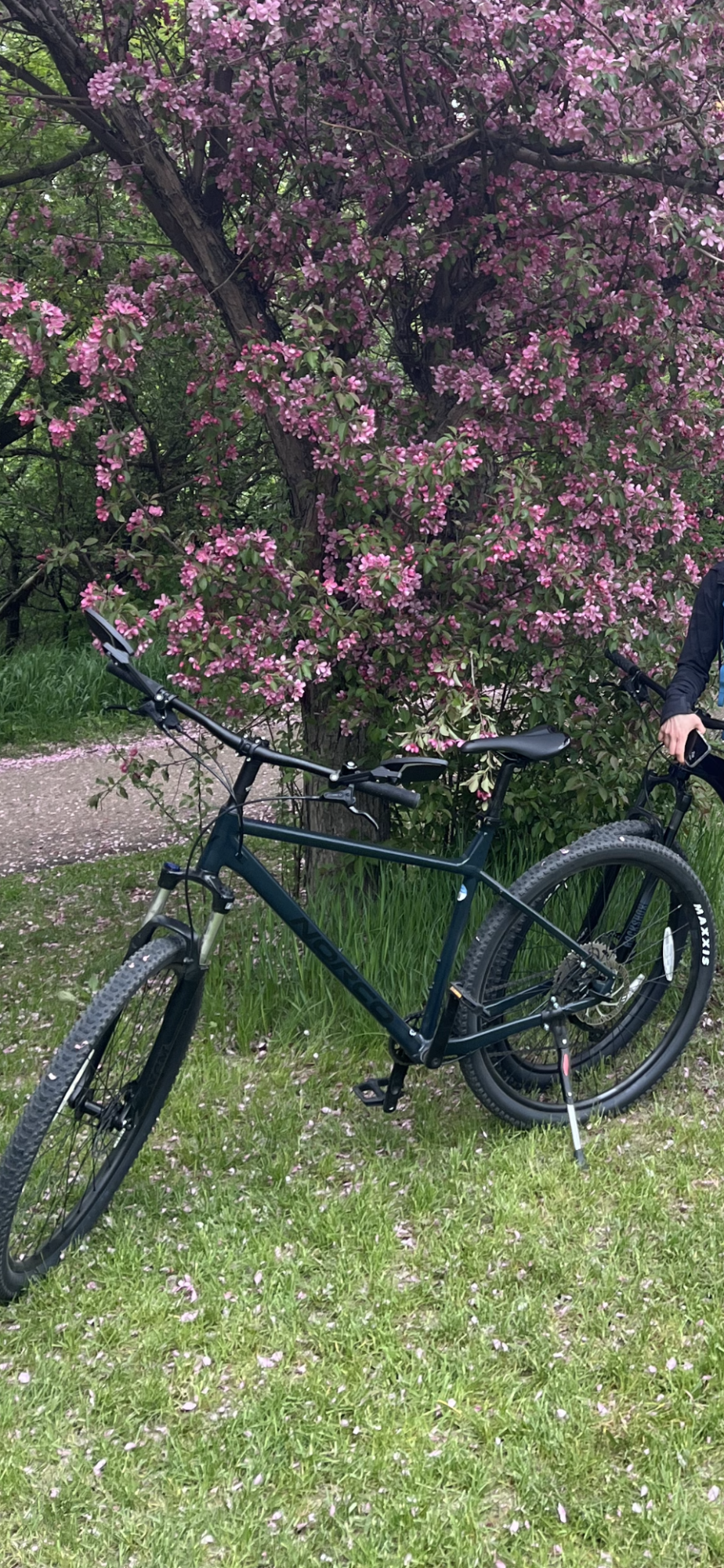 Norco Bikes Storm 2 Xlarge 29 Blue