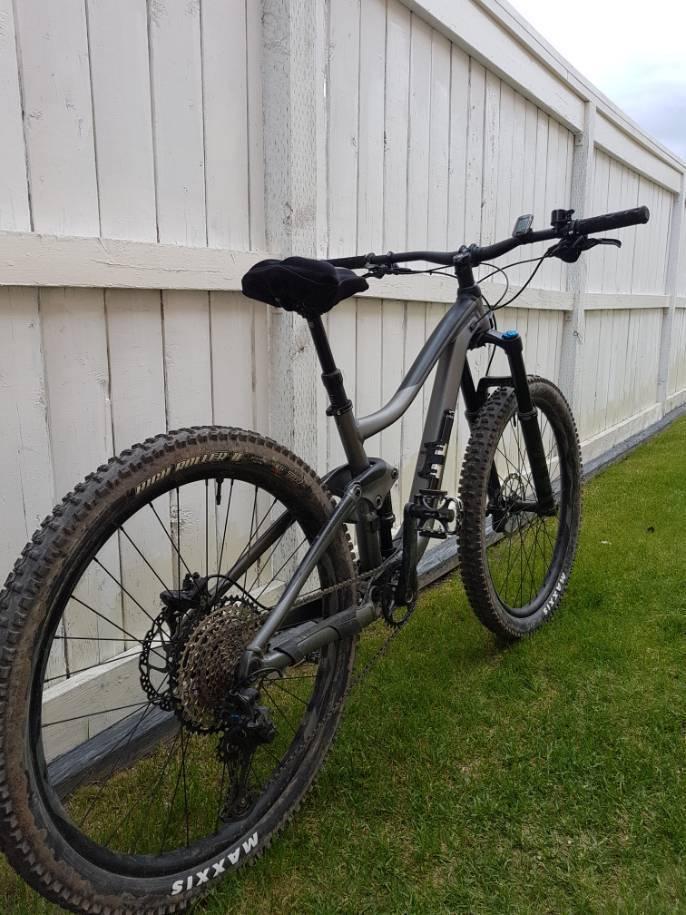 2020 Giant Trance 2 Silver, gray or bare metal and Black