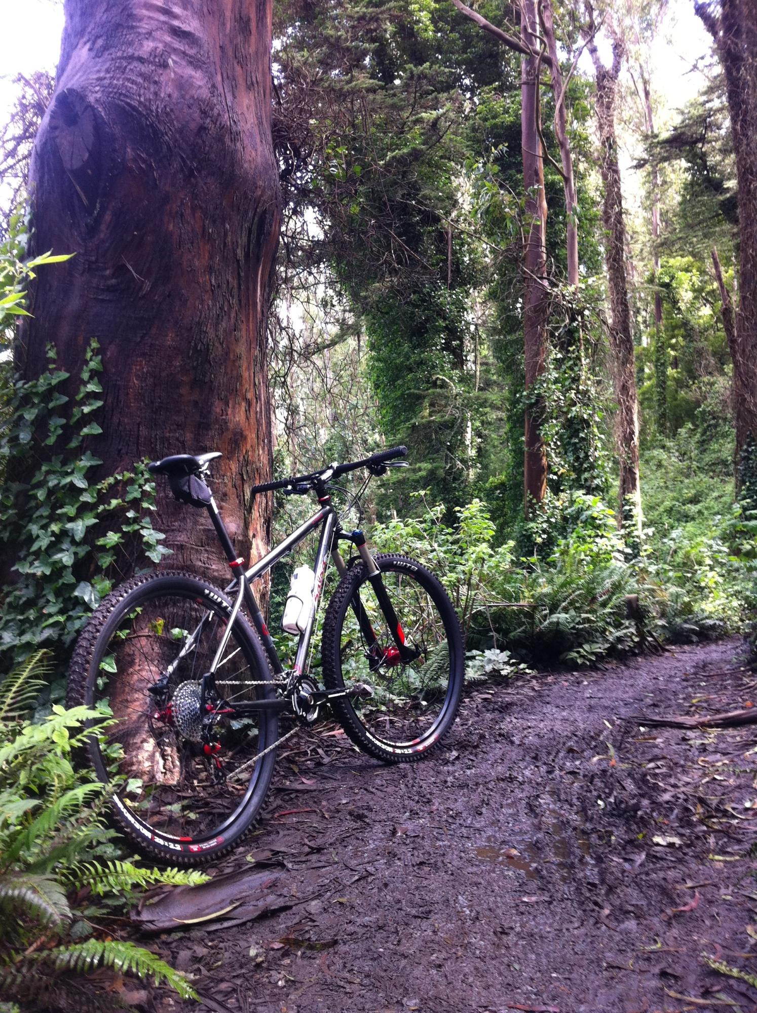 2012 Salsa El Mariachi Silver or Gray