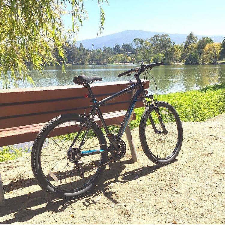 2016 Diamondback Black