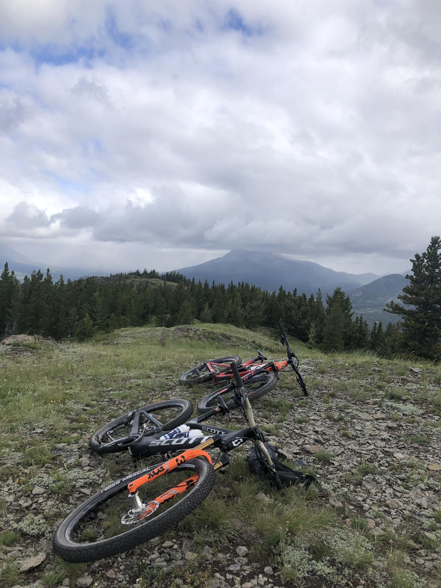 2023 SCOTT Spark RC Team Black