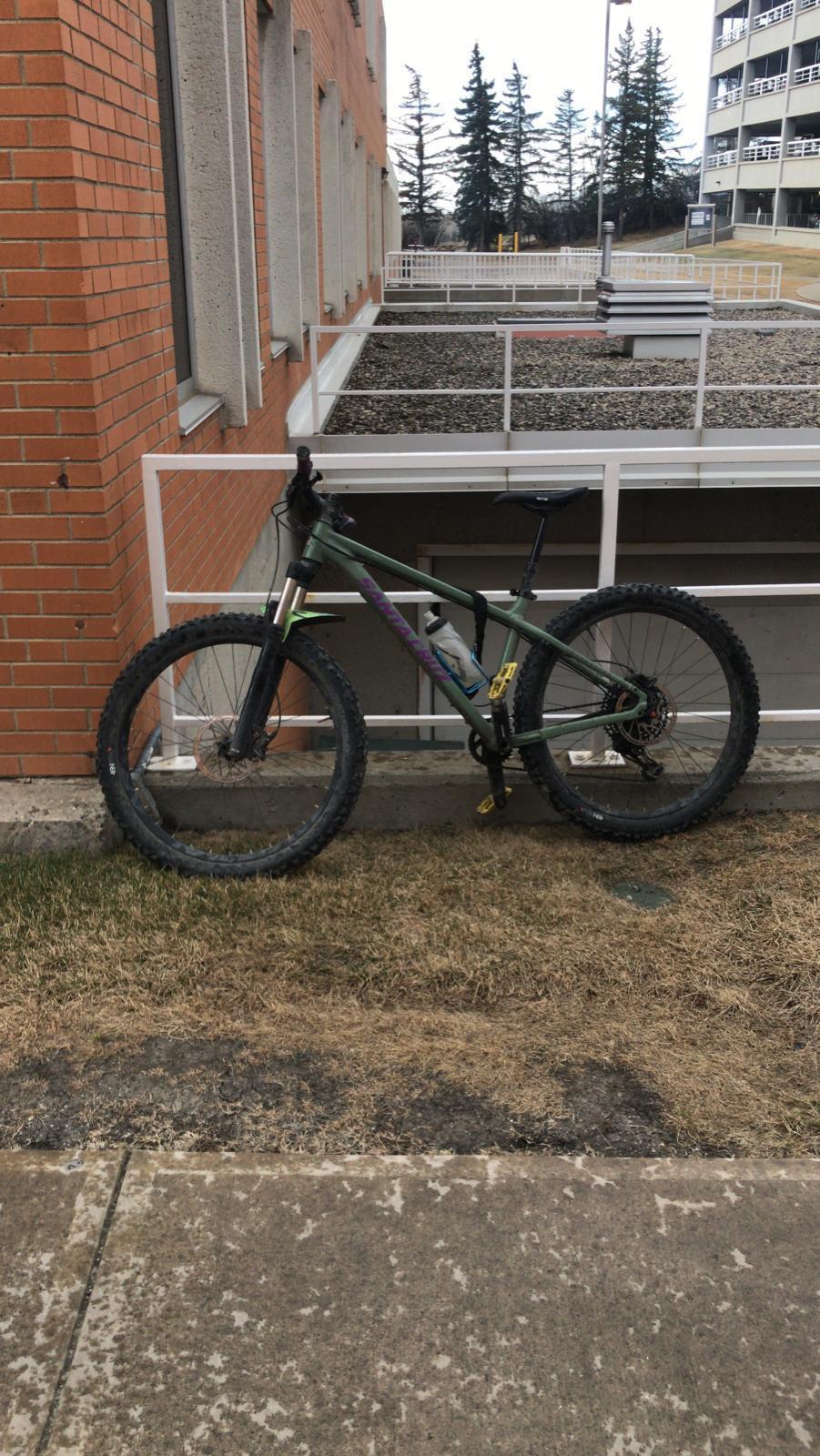 2017 Santa Cruz Chameleon Green and Purple