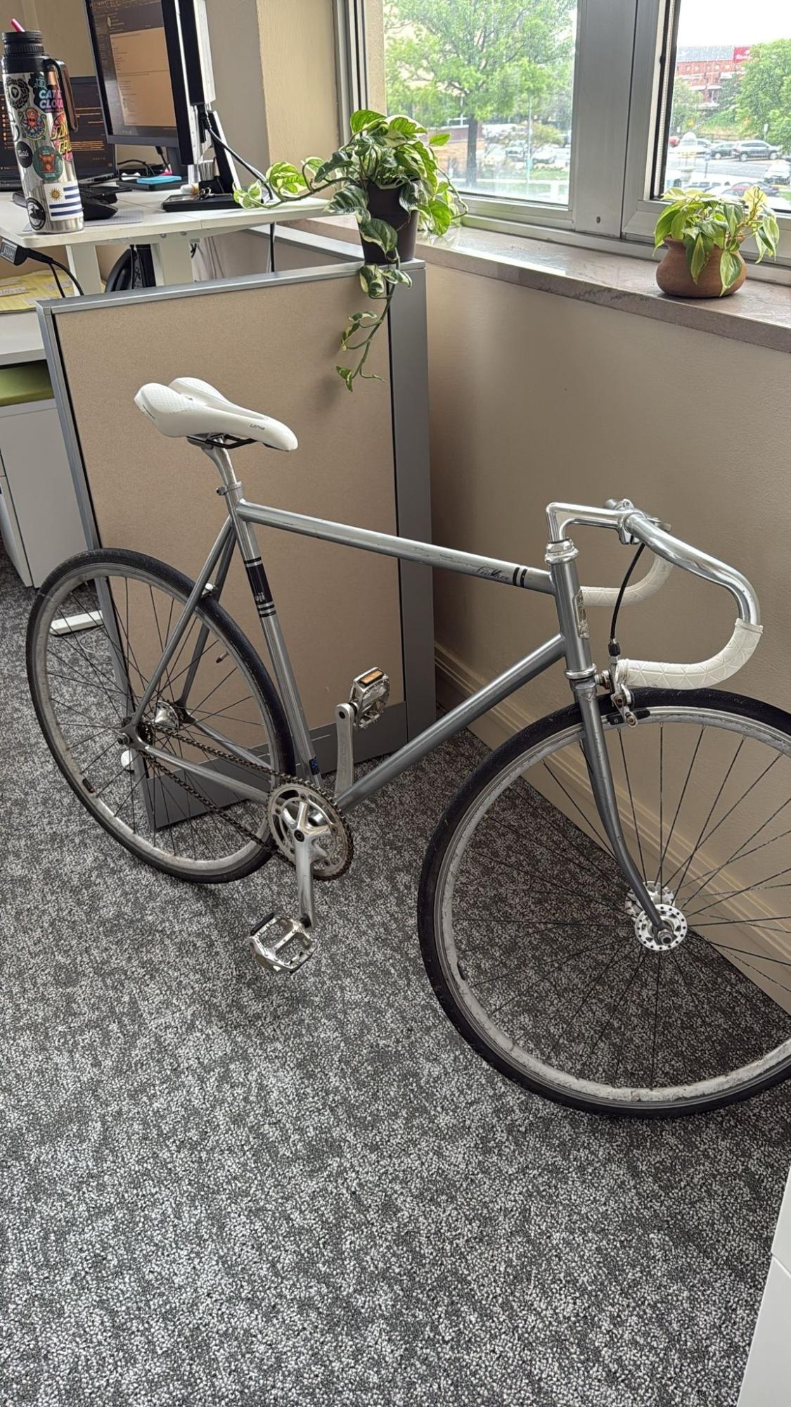 Fuji Feather Silver, gray or bare metal