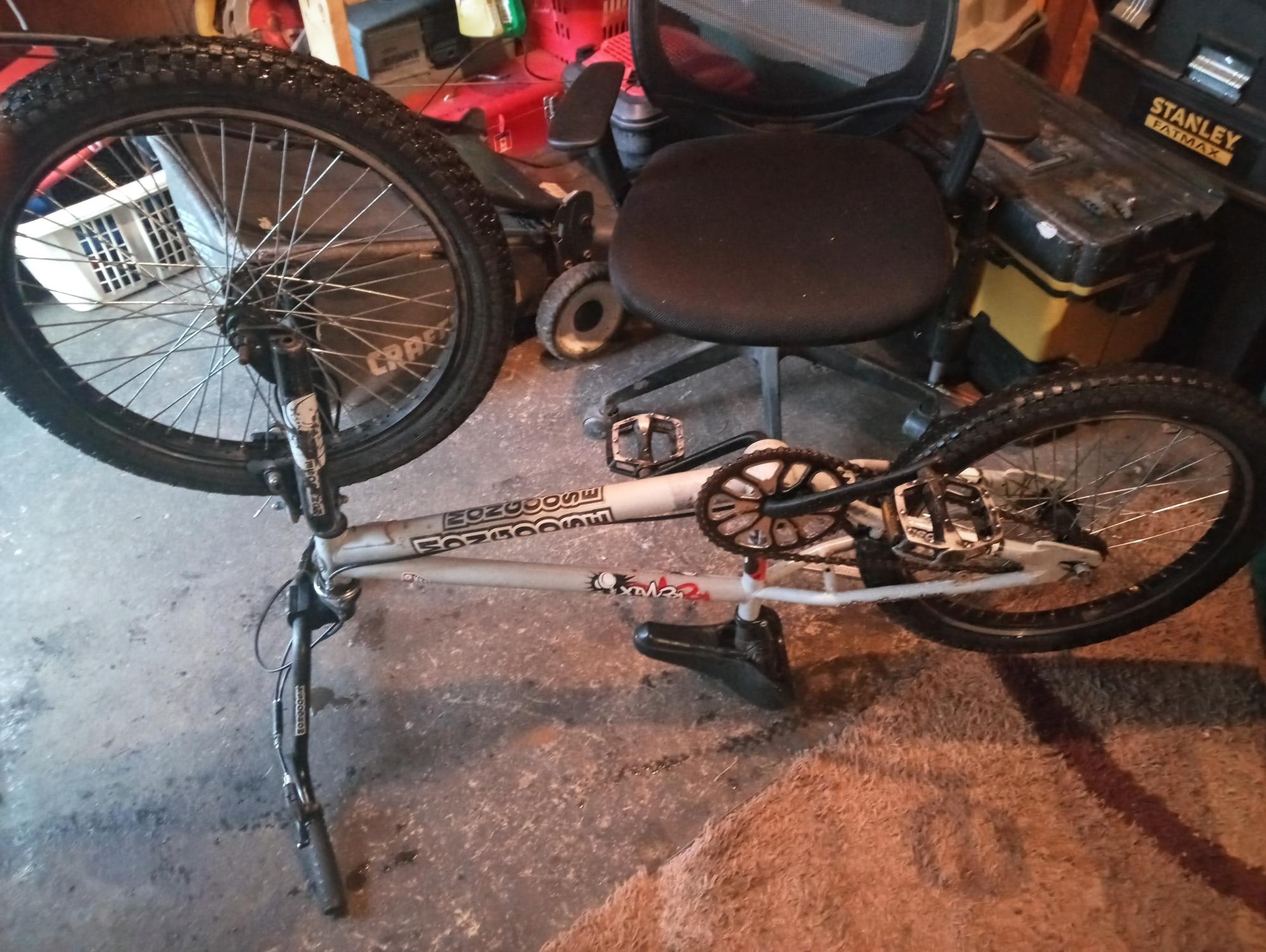 Mongoose Silver, gray or bare metal