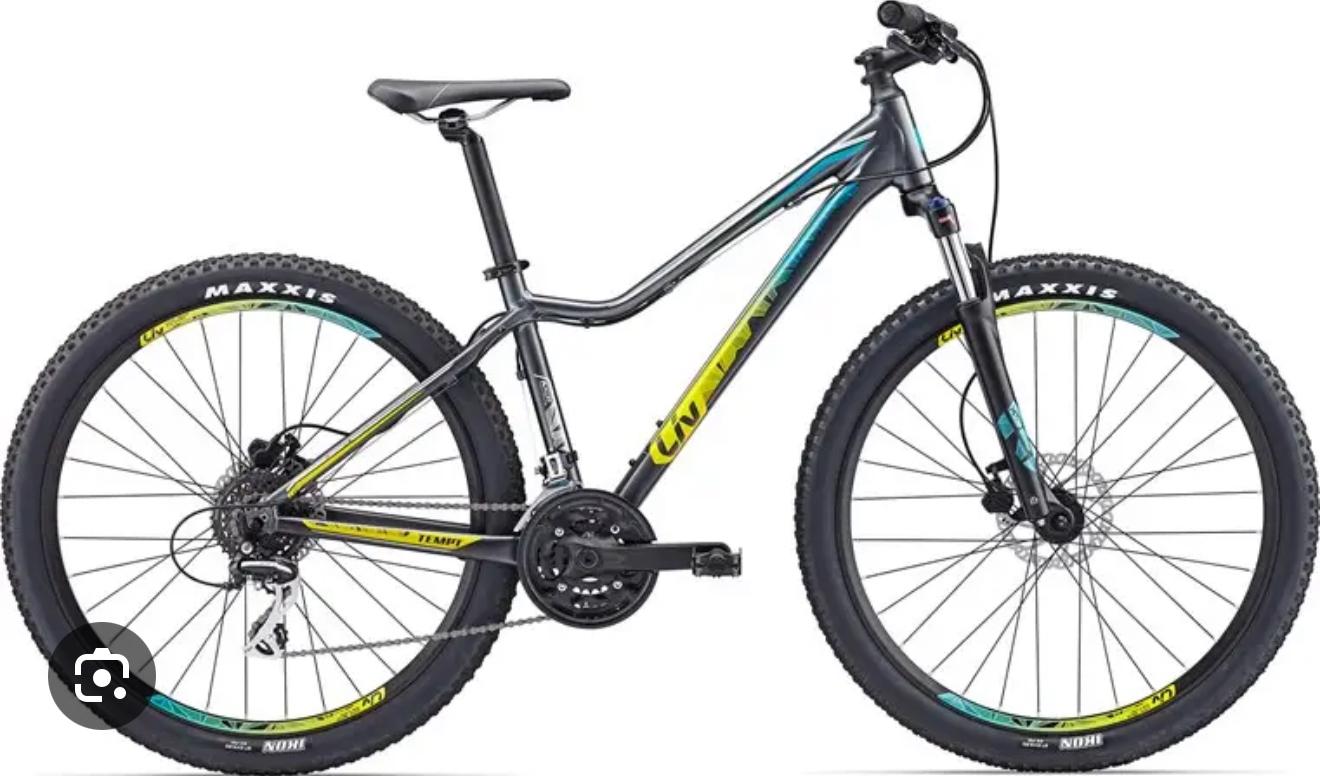 2017 Giant Tempt Silver, gray or bare metal