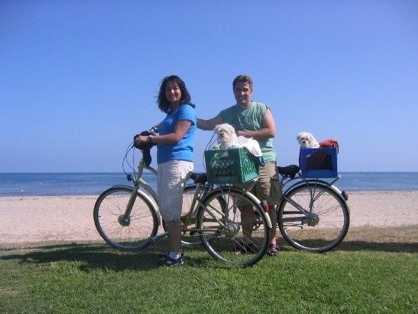 2008 Electra Bicycle Company Townie 8  Black