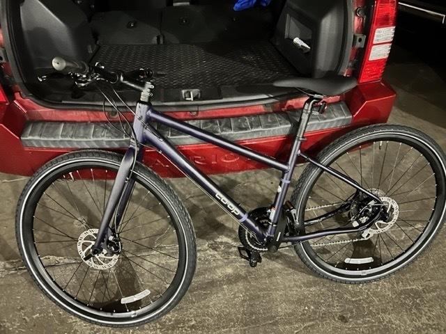 REI CTY 1.1 Step-Through Purple