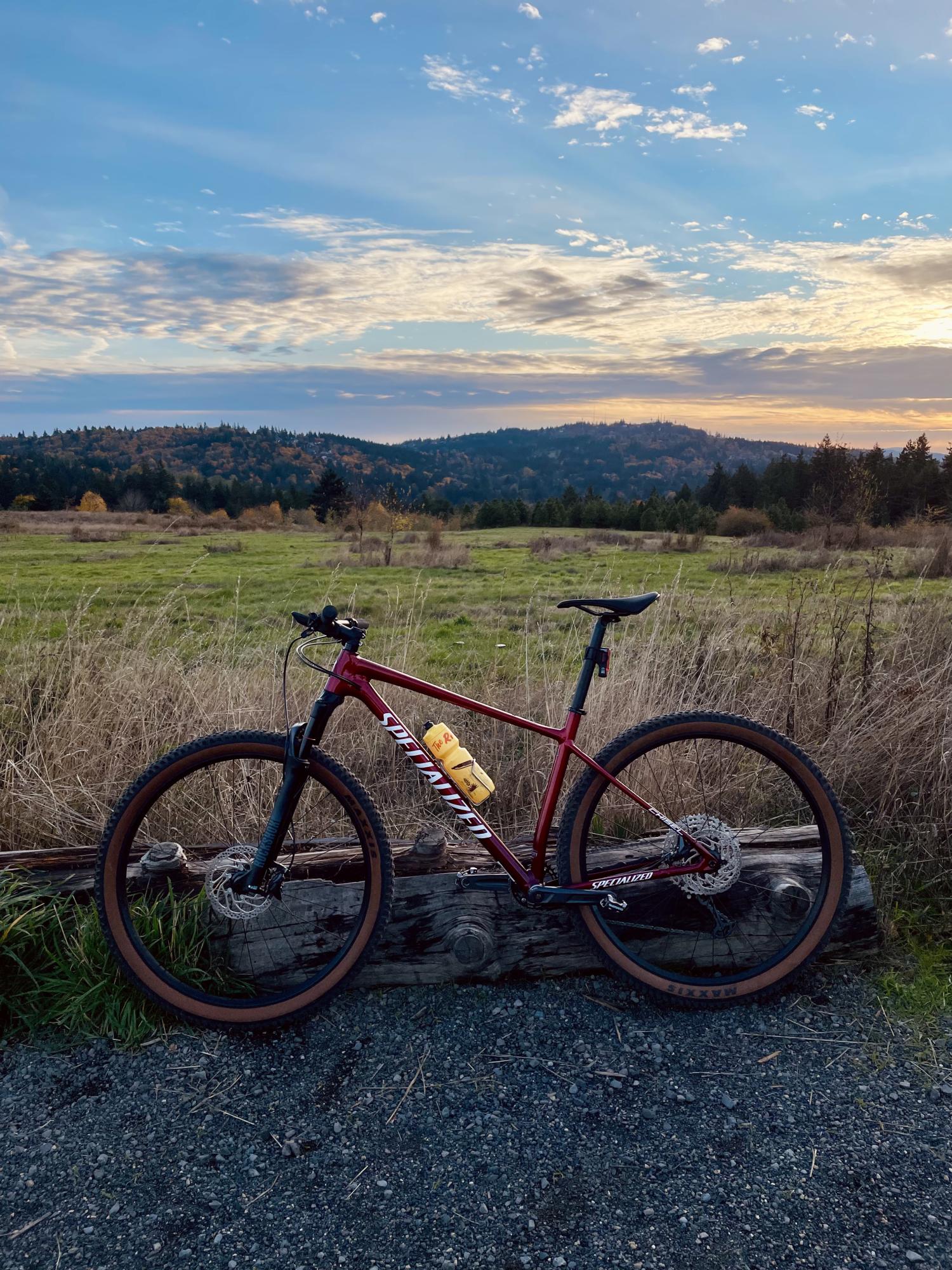 2020 Specialized Chisel Red
