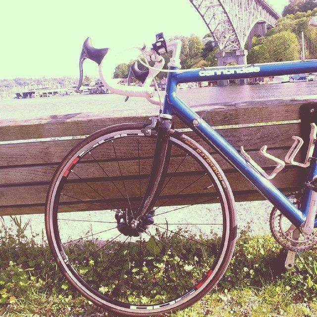 Cannondale Blue