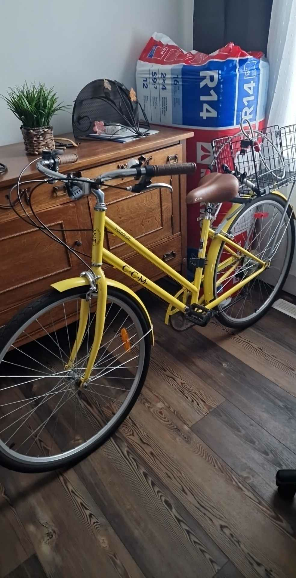 CCM Loulouse Yellow or Gold