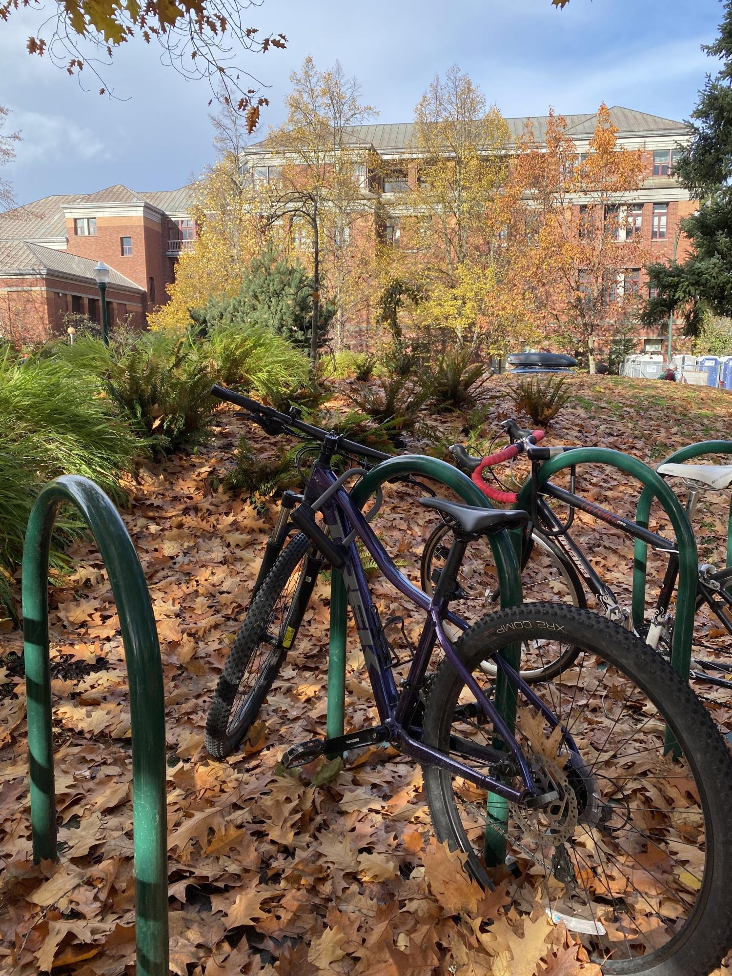 2021 Trek Marlin 5 Purple