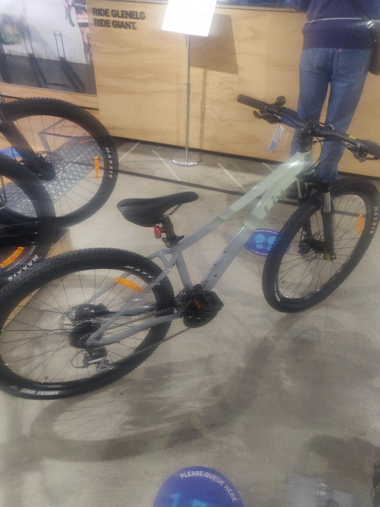 2020 Giant Liv Silver, gray or bare metal