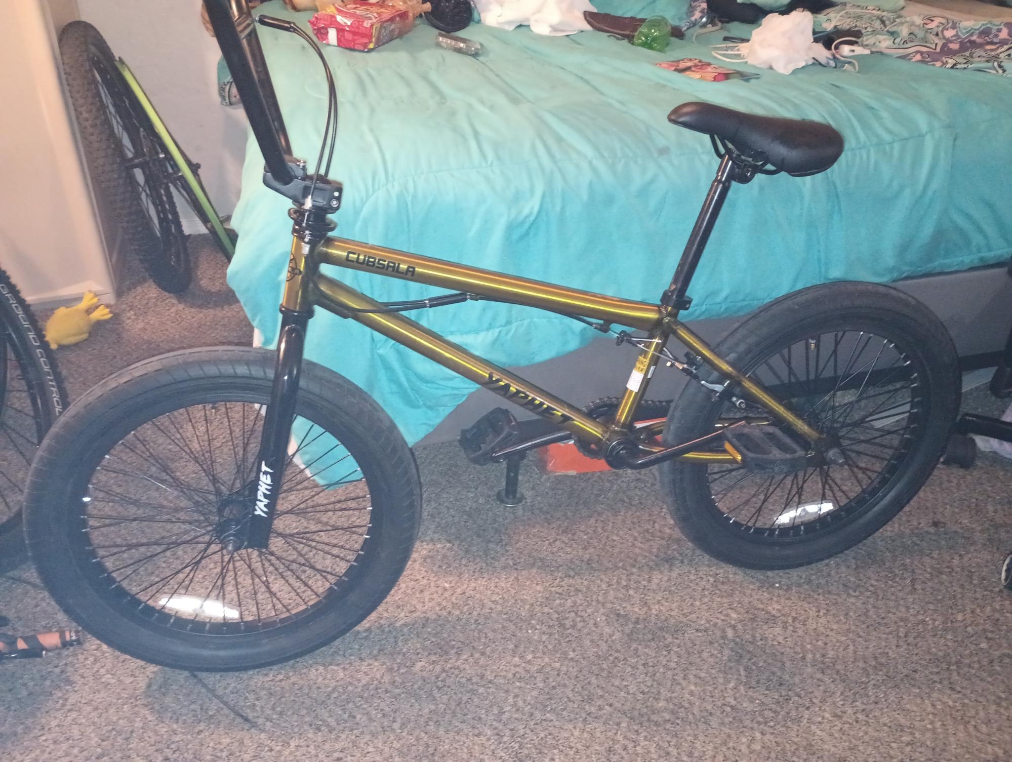 2023 Cubsala Yaphet Yellow or Gold