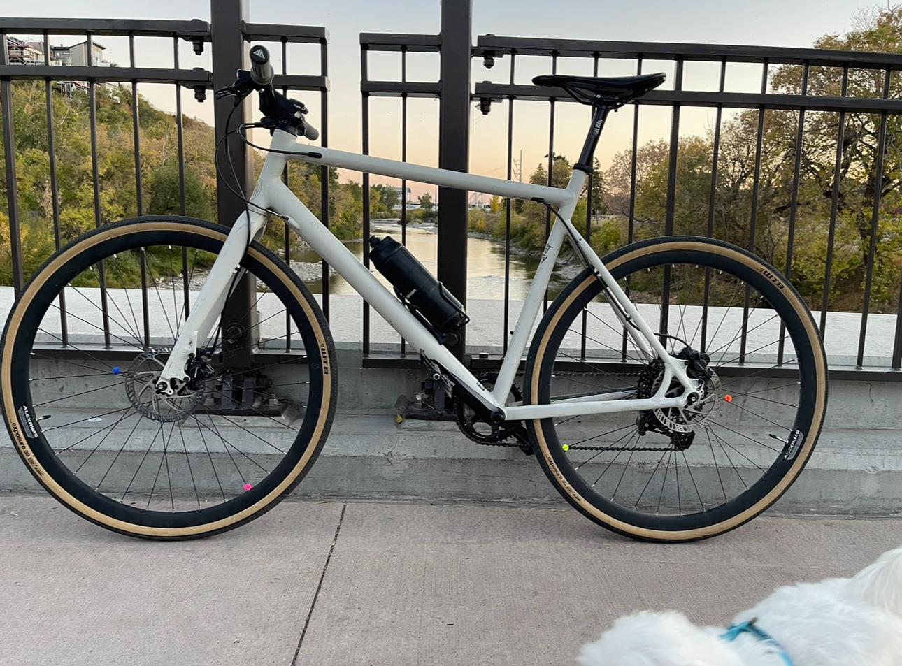 2020 Commencal Bikes Fcb Yellow or Gold