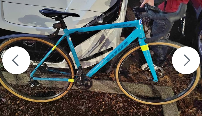 2019 Vitus Energie Teal