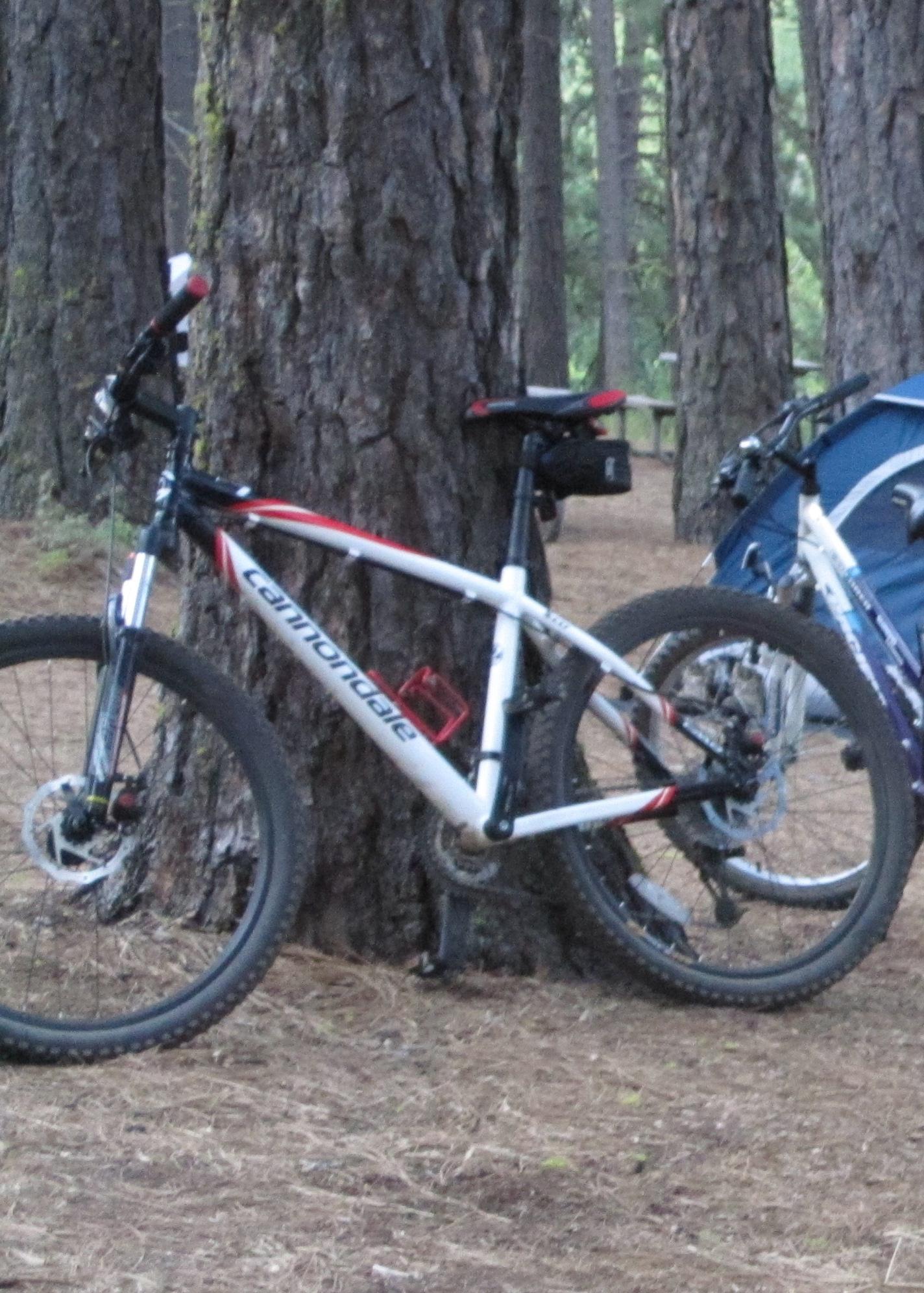 2009 Cannondale Co2 White and Red
