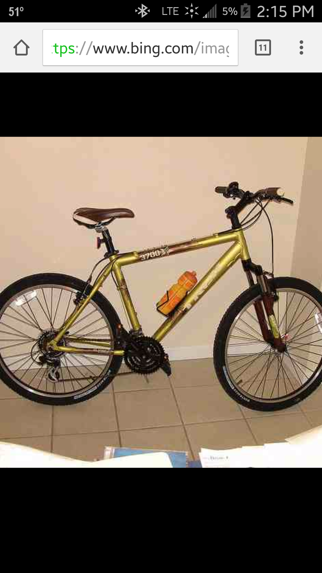 Trek Yellow or Gold