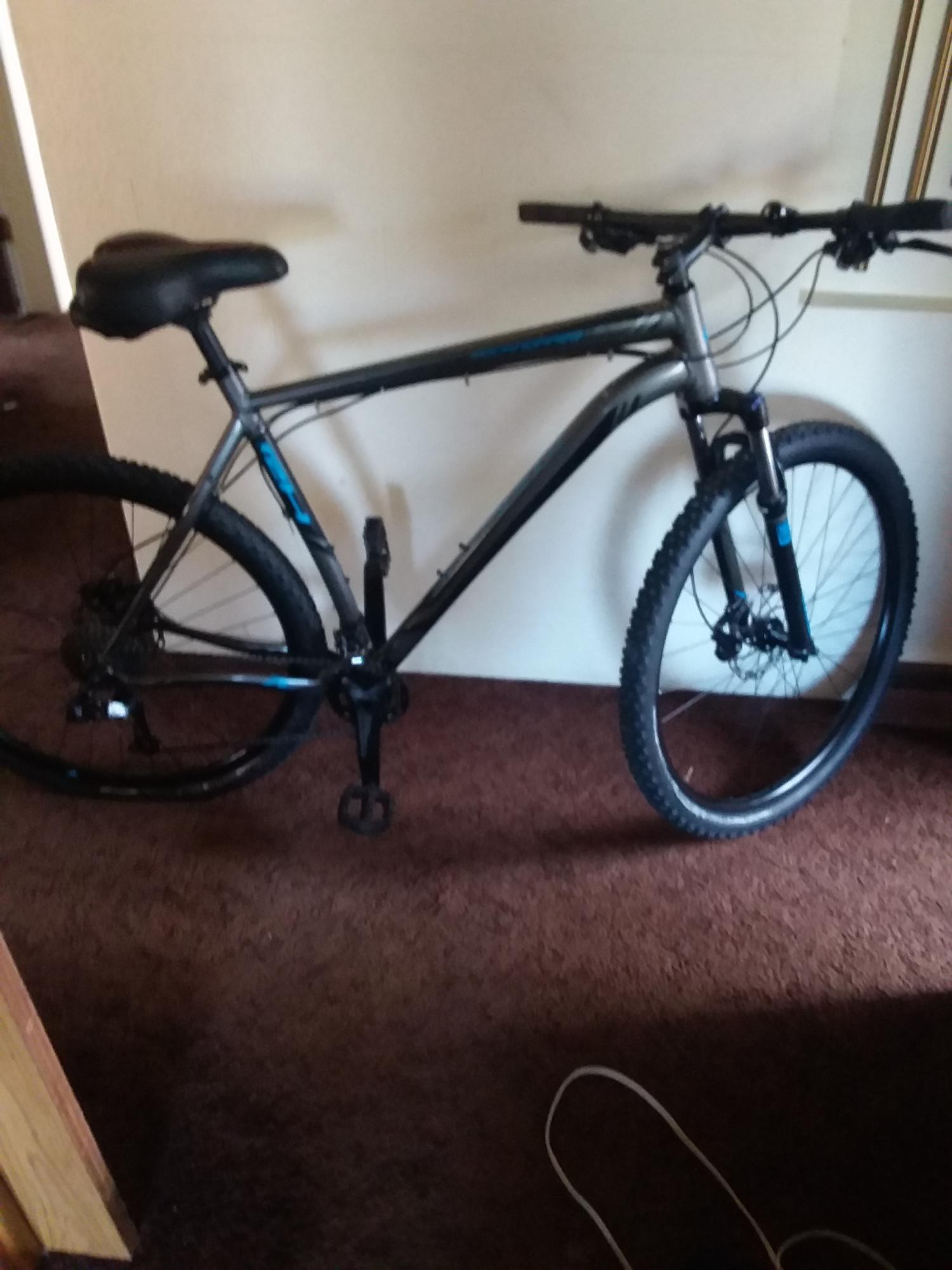 2023 Specialized Rockhopper Silver, gray or bare metal