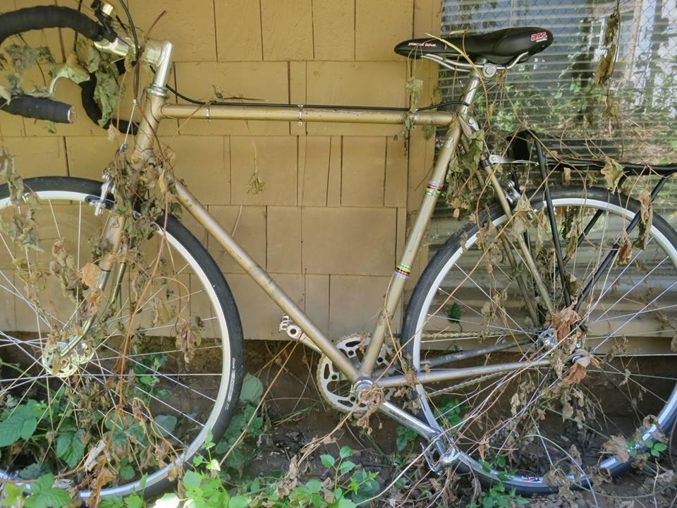 Unknown https://www.dropbox.com/sc/mmpkw25lhngxlo8/Je8IUIrTo0  Black