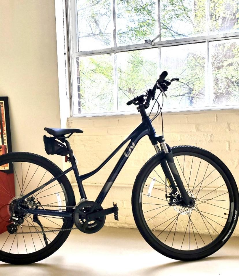 2021 Liv Rove 4 Blue