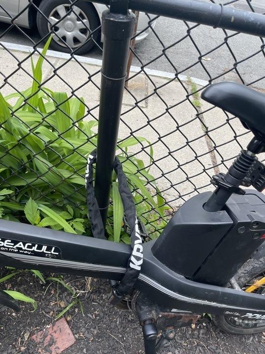 Changzhou Haoling Vehicle Co.Ltd Seagull 20 inch City E-bike Black