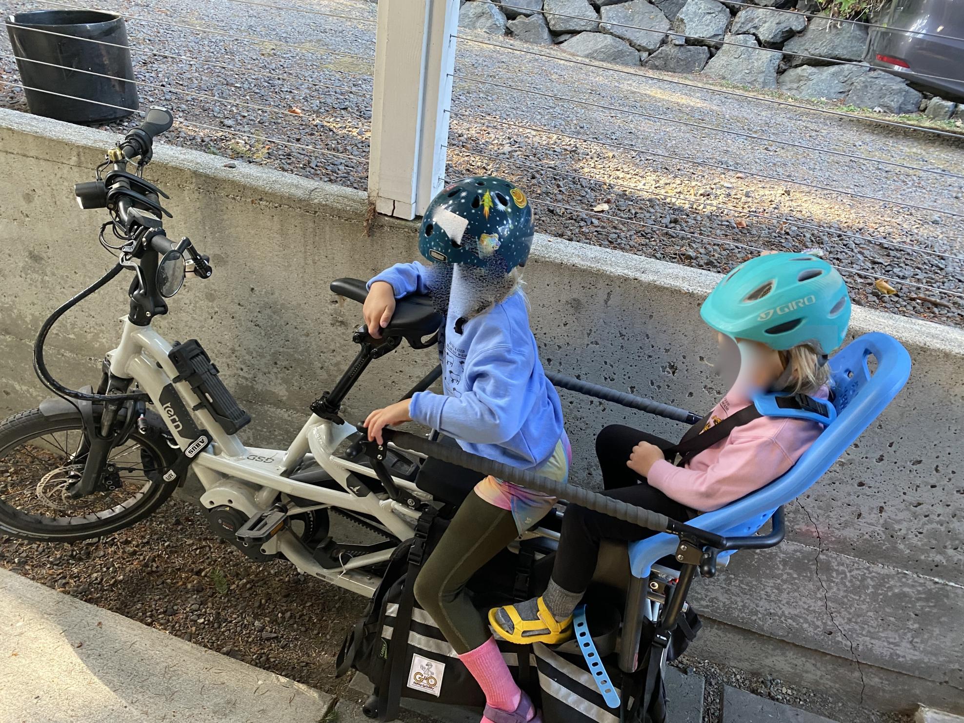 2021 Tern GSD Silver, gray or bare metal