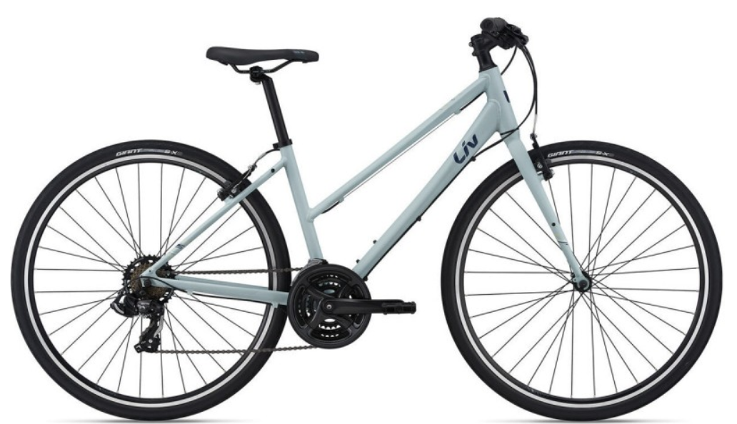 2021 Giant ALUXX-Grade Aluminum Blue