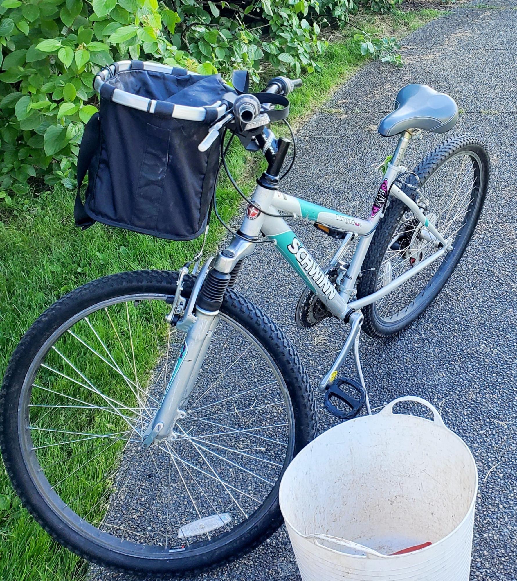 Schwinn Silver, gray or bare metal and Blue