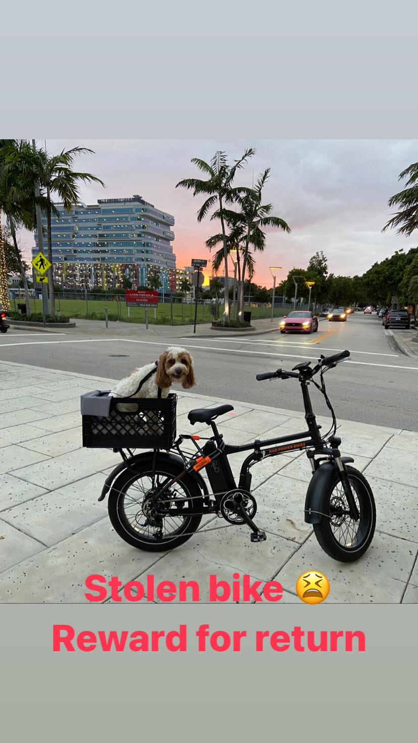 2021 Rad Power Bikes Mini 4 HT with motor Black
