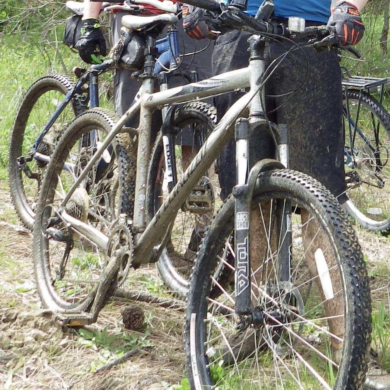 2007 Specialized 2007 rockhopper comp disc Silver or Gray