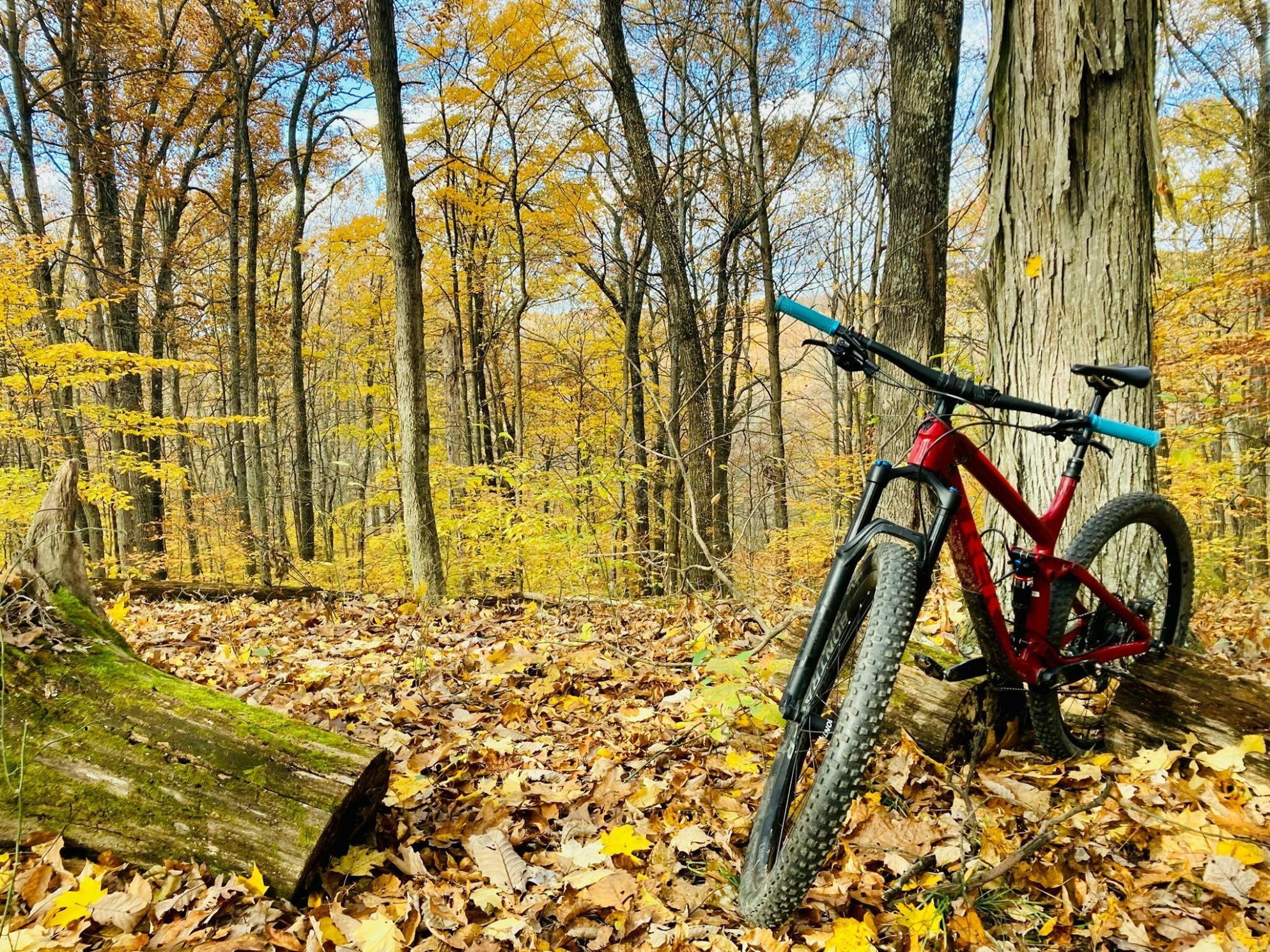 2019 Trek Fuel EX 8 Red