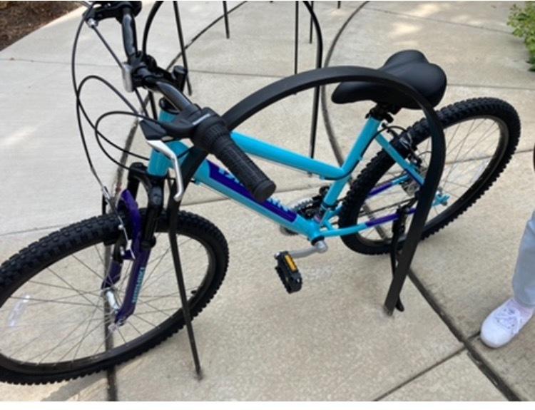 2021 Nishiki Teal