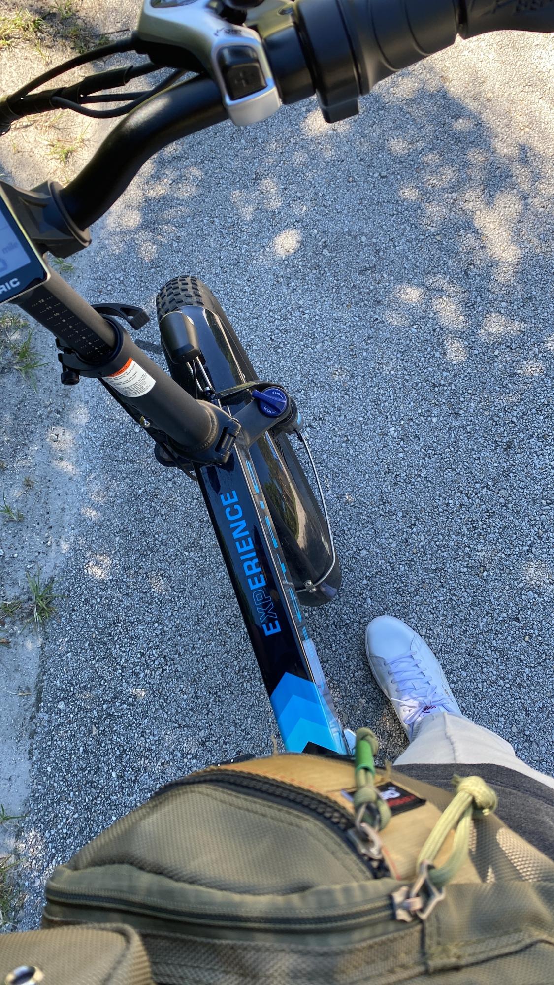 Lectric eBikes Lectric Black and Blue