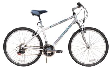 2011 Firmstrong Comfort  Black