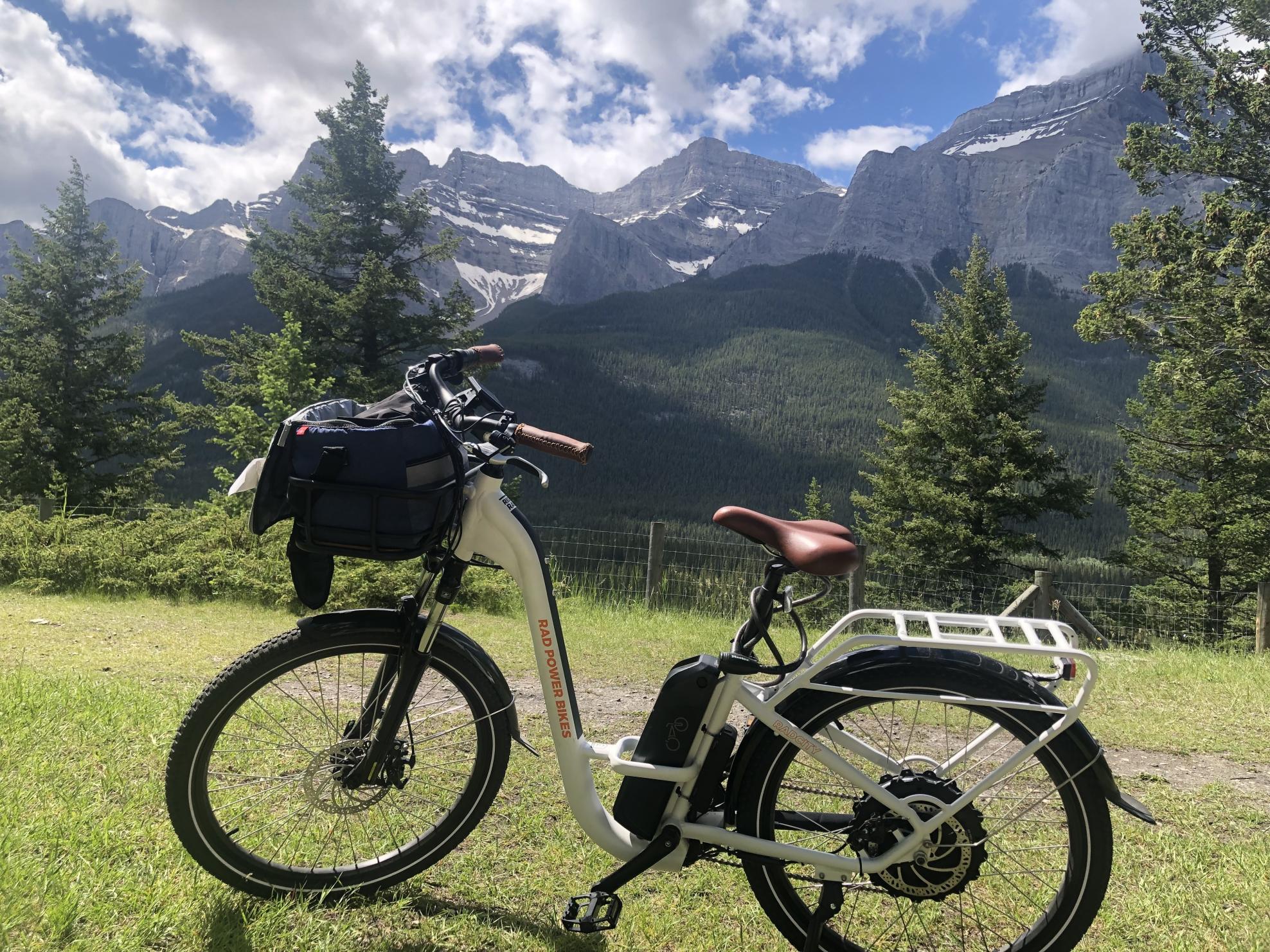 2022 Rad Power Bikes Rad City 3 Step through White