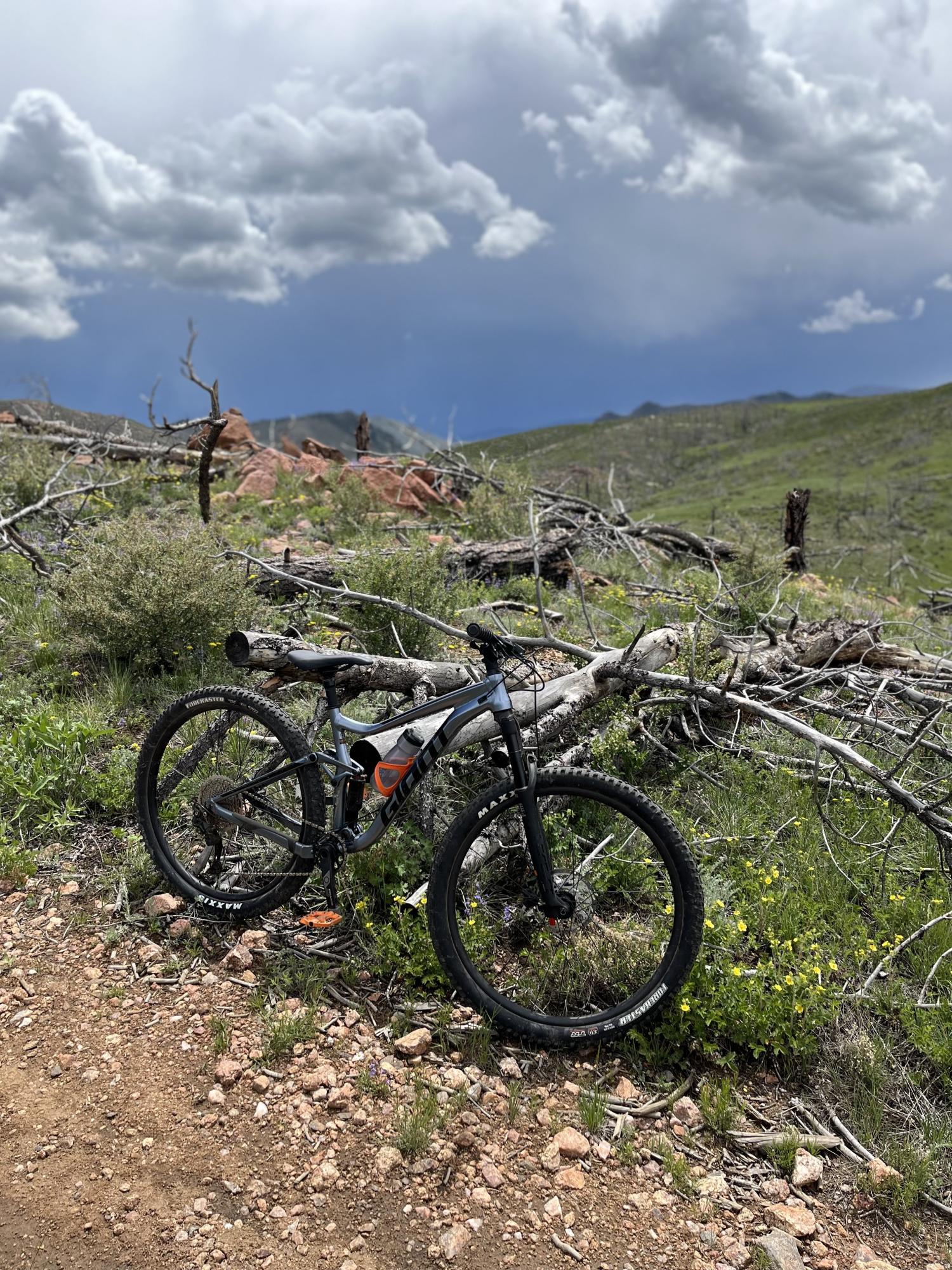 2022 Giant Stance 2 Blue