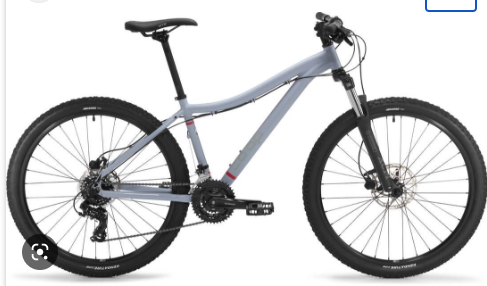 2022 REI Drt 1.1 Silver, gray or bare metal