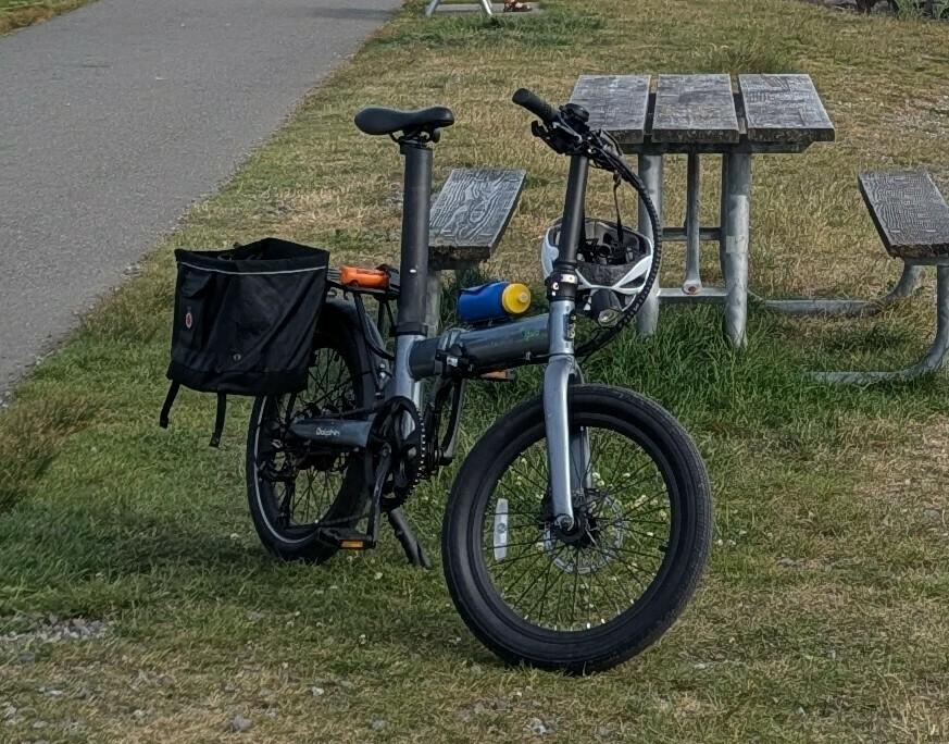 2020 qualisports dolphin Silver, gray or bare metal