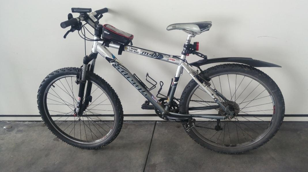 2003 Raleigh 2003 Silver, gray or bare metal