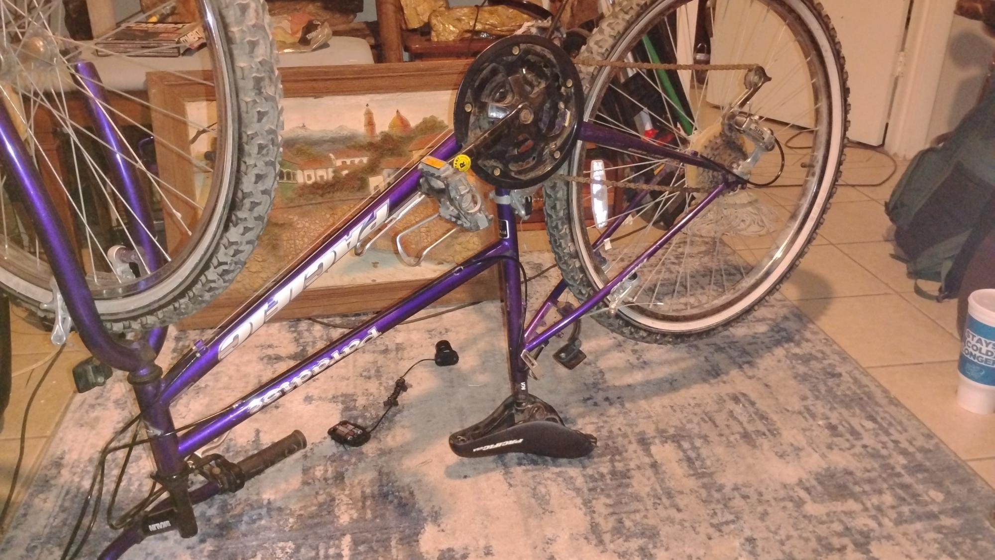 Pacific Cycle Mountain Purple