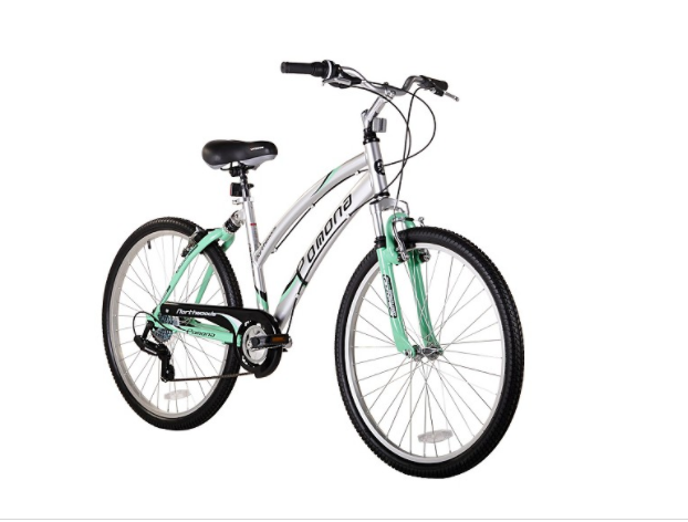 2017 Northwoods Northwoods Pomona Silver or Gray