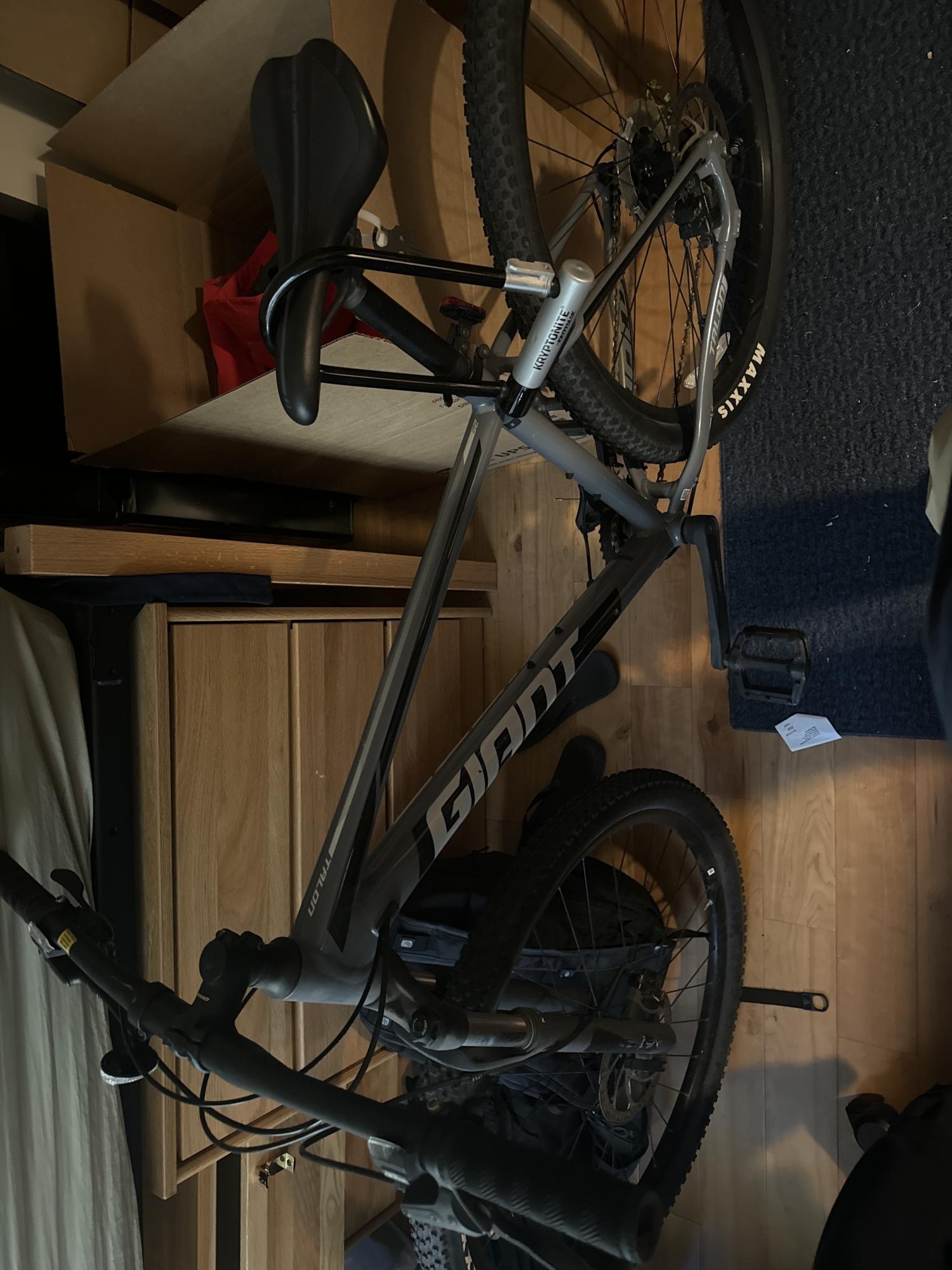 Giant Talon 29er 2 Silver, gray or bare metal