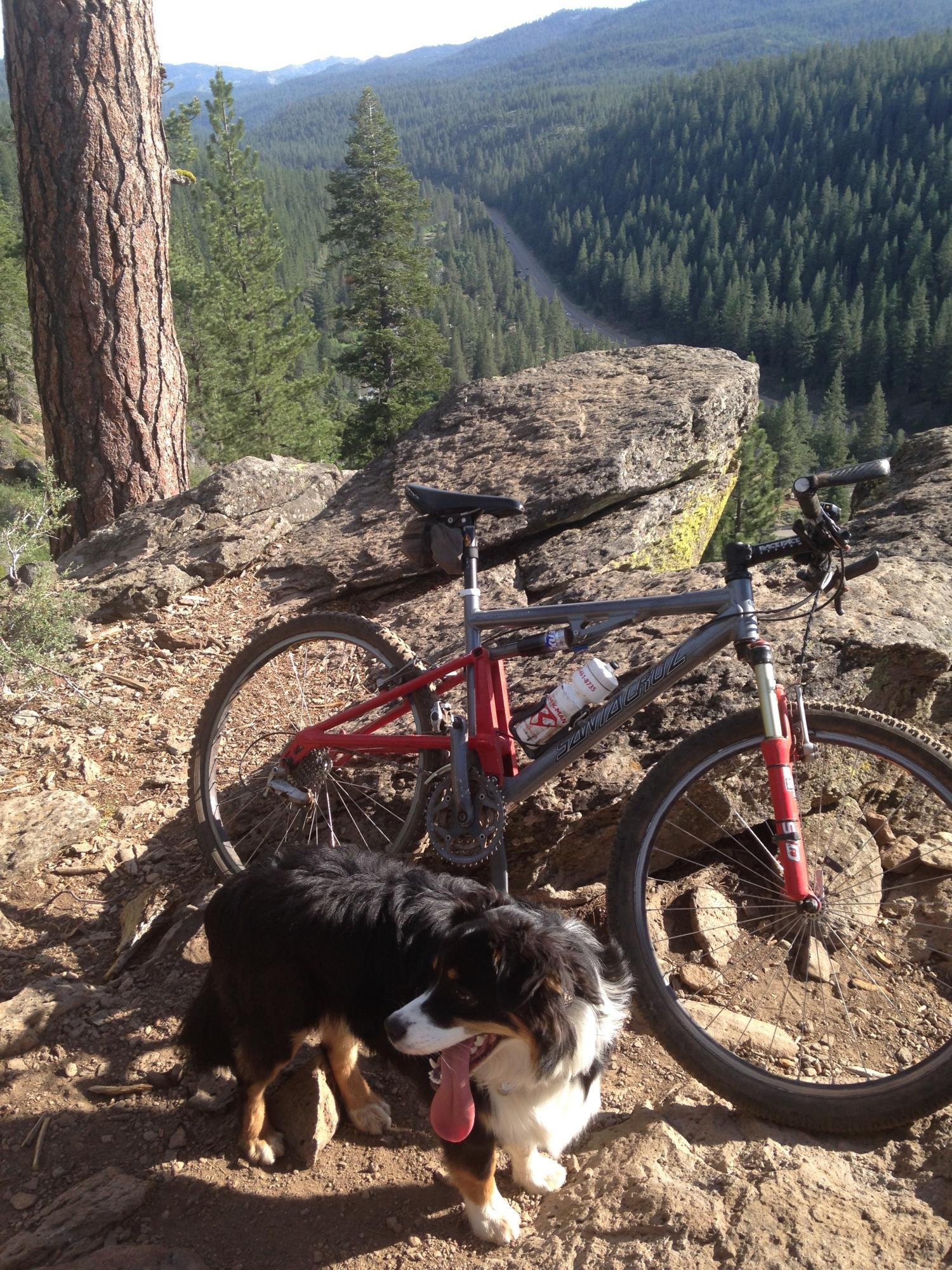 2000 Santa Cruz Superlight Silver or Gray and Red