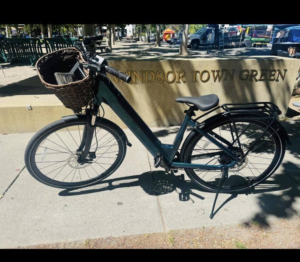 2025 Fiido Fiido C11 Teal and Black