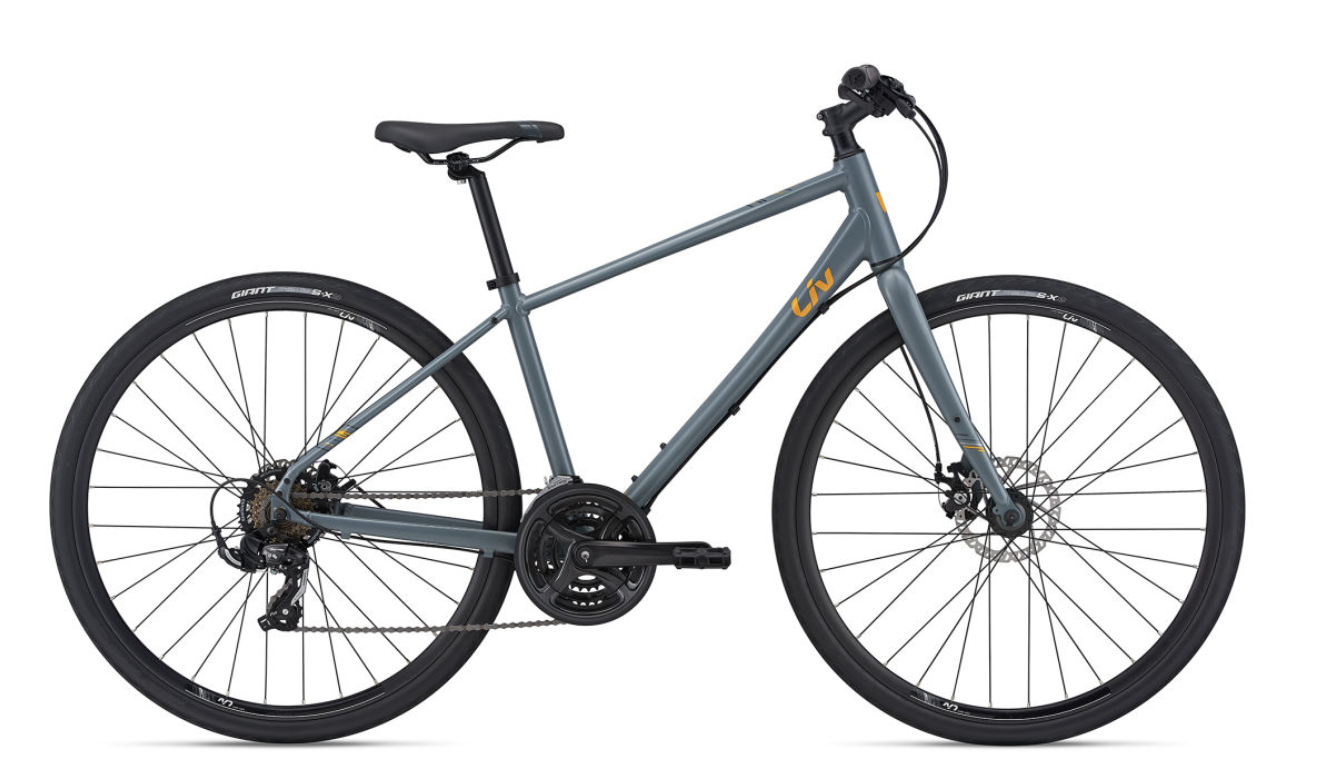 2021 Liv Alight Silver, gray or bare metal