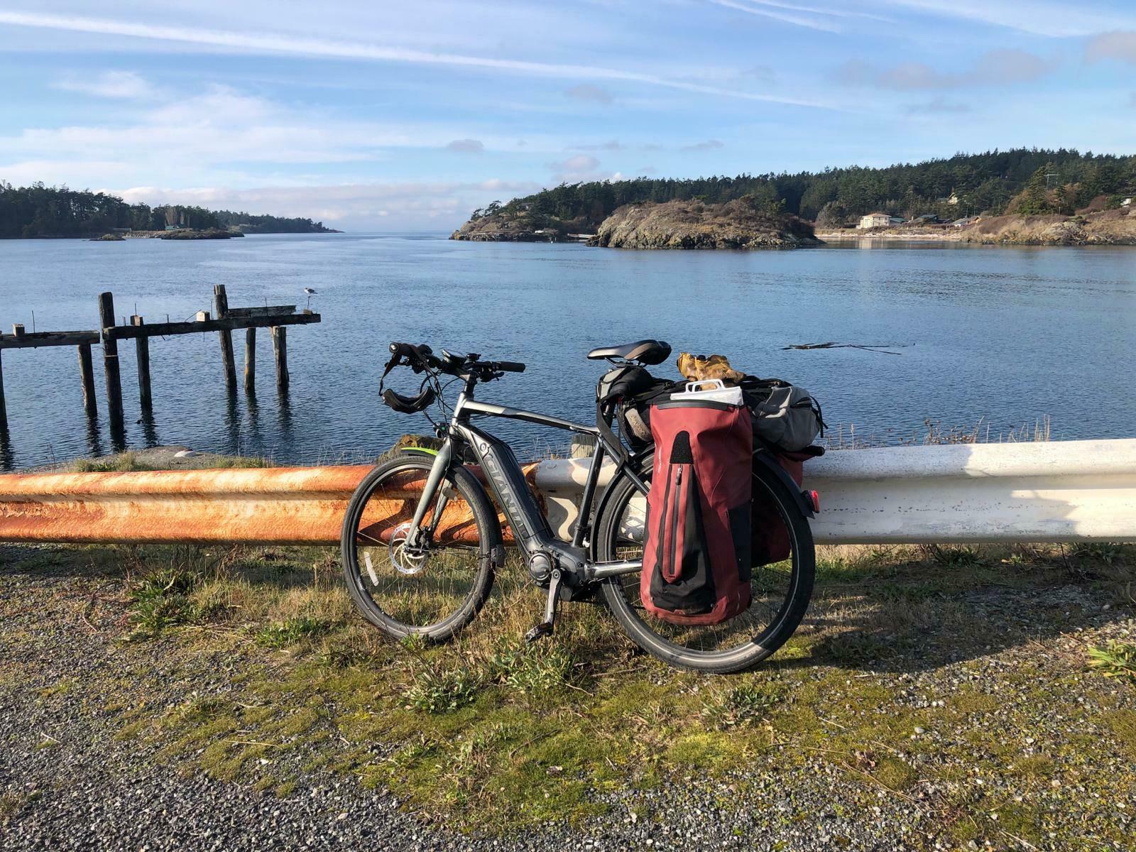 2018 Giant Quick-E Silver, gray or bare metal