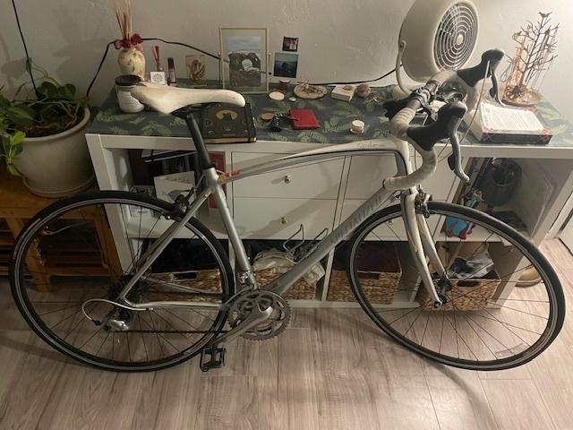 Specialized Dolce Elite White and Silver, gray or bare metal