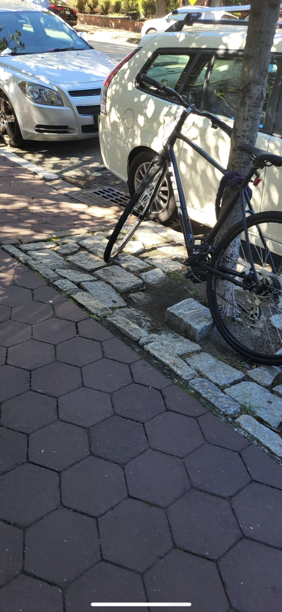Trek Alpha Gold Aluminum Black