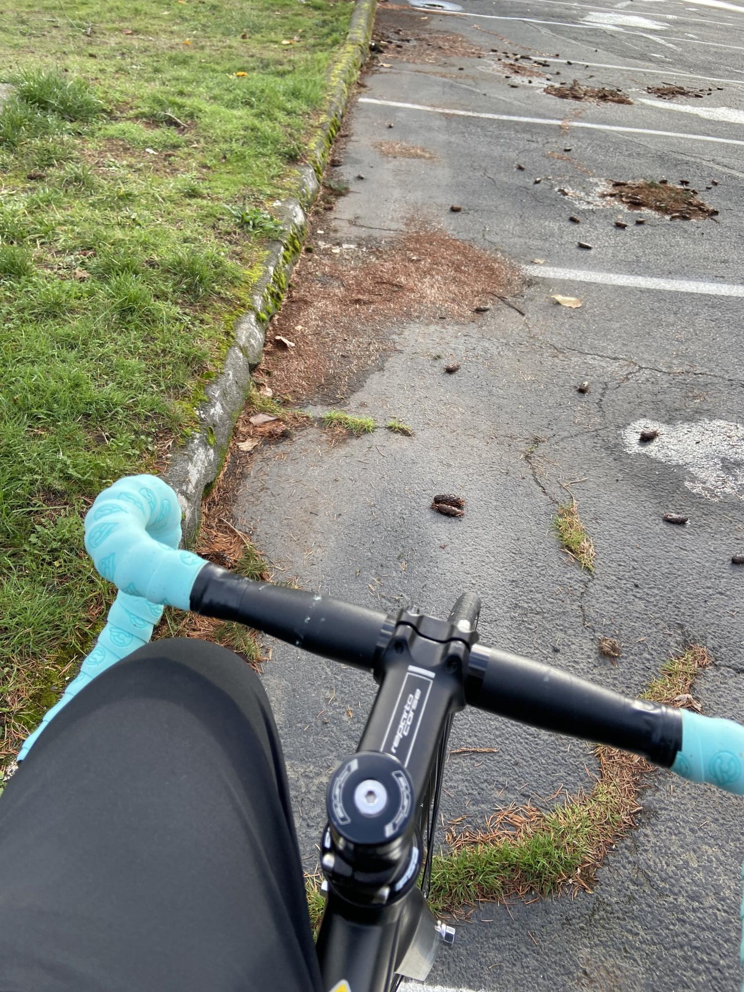 Bianchi Pista Sei Giorni Black and Teal